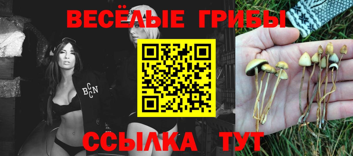 где купить   Вход с VPN  Зеленогорск  Галлюциногенные грибы мухоморы 